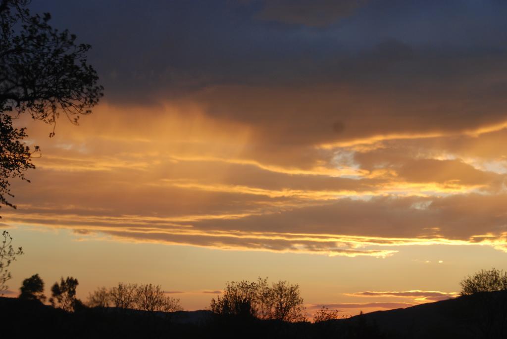 Bonawe House Holiday Cottages Taynuilt Bagian luar foto